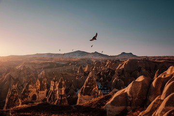 Cappadocia, Birds Flying 