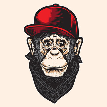 ape with caps vector