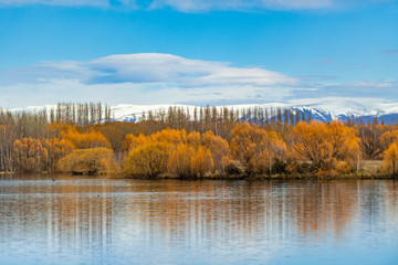 autumn landscape with lake and trees