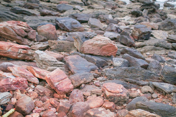 A beautiful and peaceful beach shore with sea shells, sea weed, gem stones, aqua stones, pebbles and birds flying at the coast of Khao Laem Ya Mu Ko Samet National Park Rayong, Thailand in sunset time