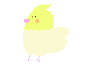 ゆるいオカメインコ（ルチノー）