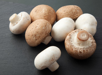 マッシュルーム