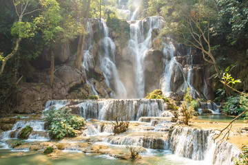 Beautiful landscape of Kuang Si falls an iconic waterfalls with a 60 metres drop in the jungle park...