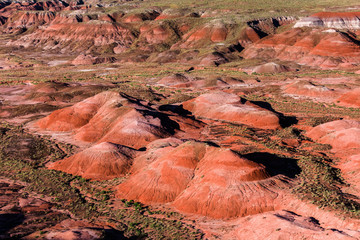 Petrified Forest National Park