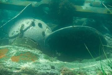 Diving and underwater photography, the ship underwater sunken lies on the ocean floor.