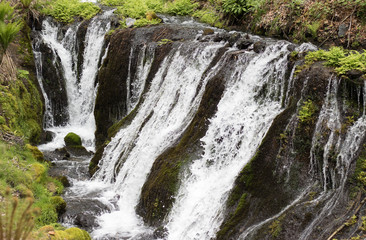 Fototapeta premium 軽井沢 白糸の滝