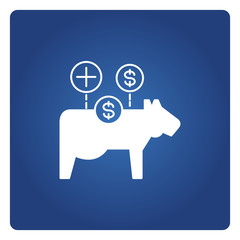 cow and money currency for cash cow concept in blue background