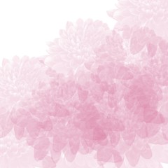 pink hand drawn watercolor dahlia flower background pattern with white corner