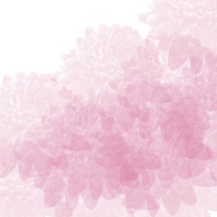 Fototapeta premium pink hand drawn watercolor dahlia flower background pattern with white corner