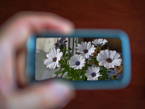 Mobile photography looking at SmartPhone secreen
