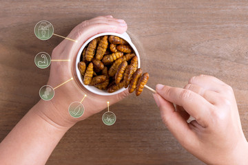 Silkworm Pupae insects for eating as food in disposable cup with icon media symbol on wood...