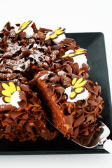 Italian Food. Cake - studio