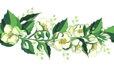 Obraz premium Seamless floral border with jasmine. Endless horizontal decorative pattern brush