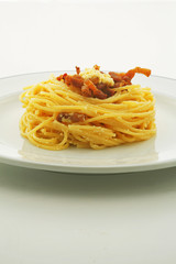 Italian Food. Spaghetti - studio