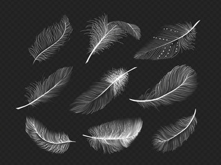 White feathers set © TWINS DESIGN STUDIO
