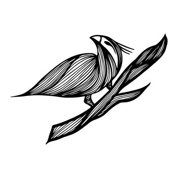 recommend clip art: Bird hand-drawn branch in outline style on white background. Background vector illustration. Bird hand-drawn branch in the abstract style. Vector design illustration