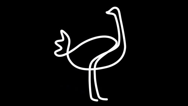 Stylized Ostrich Line Animation Loop
