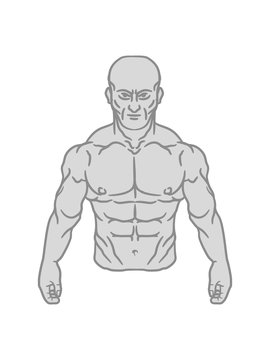 glatze bauchmuskeln brustmuskeln h&uuml;bsch muskeln muckis k&ouml;rper kr&auml;ftig kraft bodybuilder stark sexy sch&ouml;n fitness pumpen posen mann kerl m&auml;nnlich training clipart design