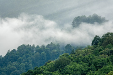 High mountains with forested slopes and peaks hidden in the clouds.