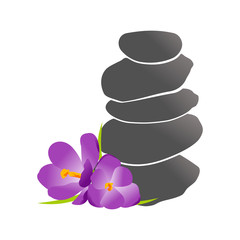 Rock balance and Flower