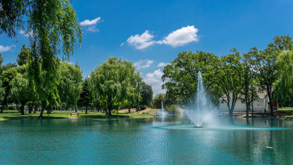 Man-made lake surrounded by trees