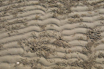 Beautiful natural zigzag sand wave with crab hole background, holiday and traveling concept