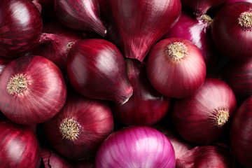 Bright red ripe onions as background, top view