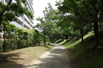 散歩道