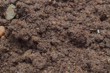 earth, soil for seedlings. Background and texture