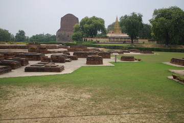 Obraz premium gardens in sarnath temple varanasi