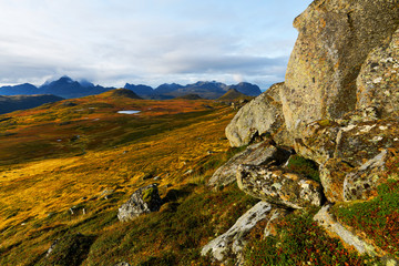Golden landscapes on a high plateau during summer on Lofoten Islands