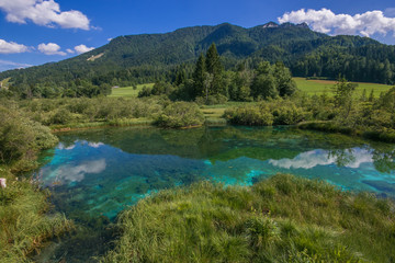 Riserva naturale del lago di Zelenci in Slovenia © Buffy1982
