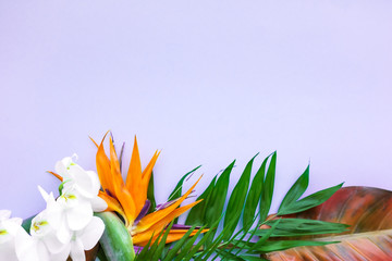 Background of tropical flowers, strelitzia and palm leaves. Place for text. Flat lay.  Summer concept.