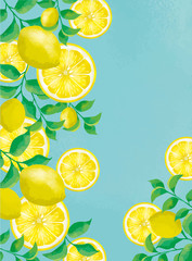 FRUITS　レモン　果汁　100％　果肉　断面図　カットフルーツ　背景　背景素材　フレッシュ　ジュース　フレッシュ素材　果物