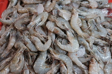 Fresh shrimp on ice as a background for sale in the fish market at Thailand.