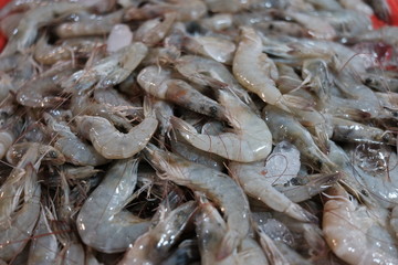 Fresh shrimp on ice as a background for sale in the fish market at Thailand.