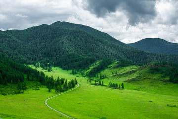 Fototapeta na wymiar green trail leading to the mountains
