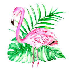 pink Flamingo watercolor, on white background, isolated illustration, hand-drawn, palm leaves composition