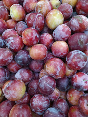 Macro Photo food fruit plums. Texture background of fresh blue plums. Image fruit product blue plums. Limited depth of field