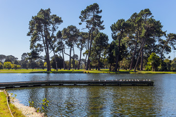 Indian summer in New Zealand
