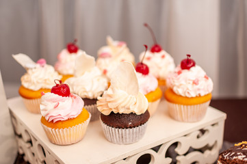 White sweet cupcakes on the white stand