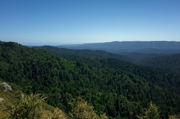 Fototapeta na wymiar Santa Cruz mountains in Castle Rock