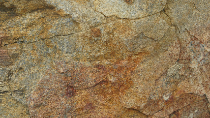 stone texture1