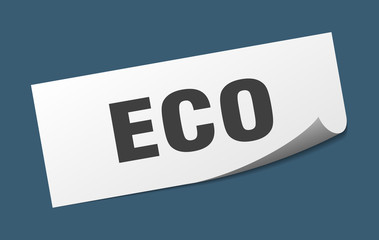 eco sticker. eco square isolated sign. eco