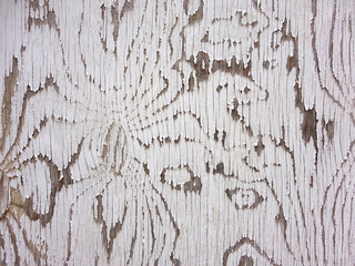 Obraz premium Detail of old wooden textured door with pilling white paint for background 