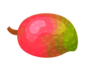 Whole red-green mango. Vector illustration on white background.