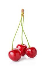 Tasty sweet cherries on white background