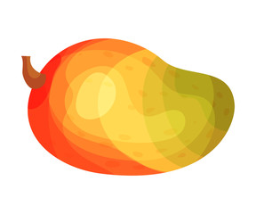 Tricolor whole mango. Vector illustration on white background.