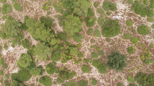 The ruins of the late Hellenic Jewish settlement Hurvat Sumak on Mount Carmel, Israel. View from the drone.