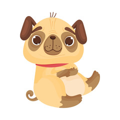 Cute pug is sitting. Vector illustration on white background.